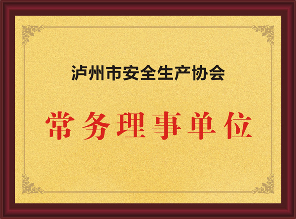 瀘州市安全生產協(xié)會常務理事單位